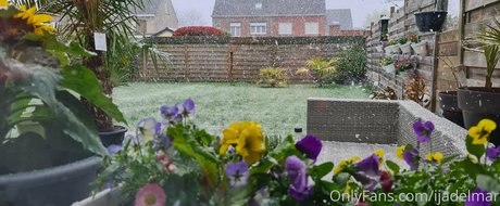 ijadelmar star top gallery