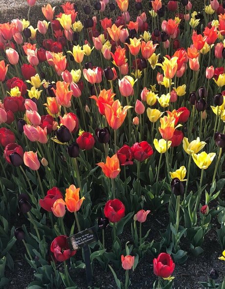 earthlyalien pornstar high quality photo