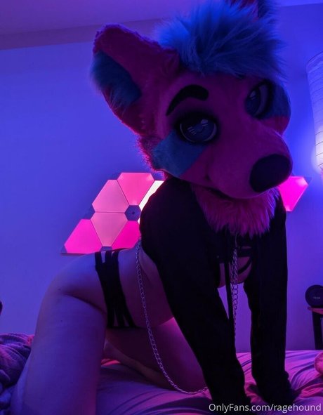 ragehound sex pornstar picture