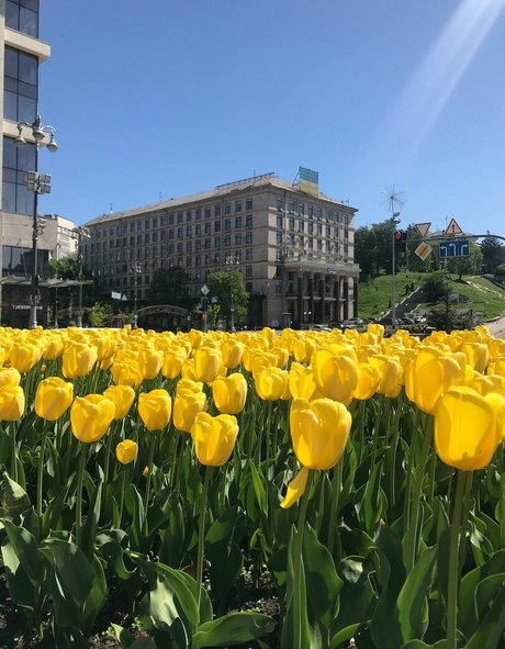 lili babe perfect star pic