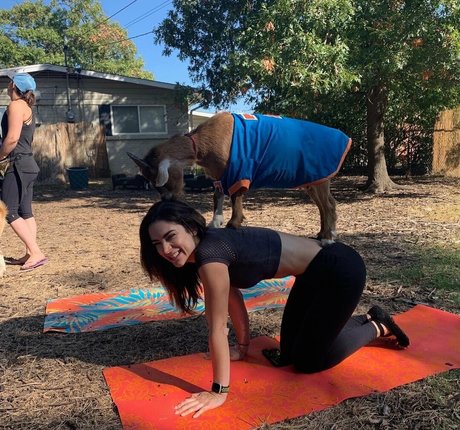 czechm8 high quality star pics