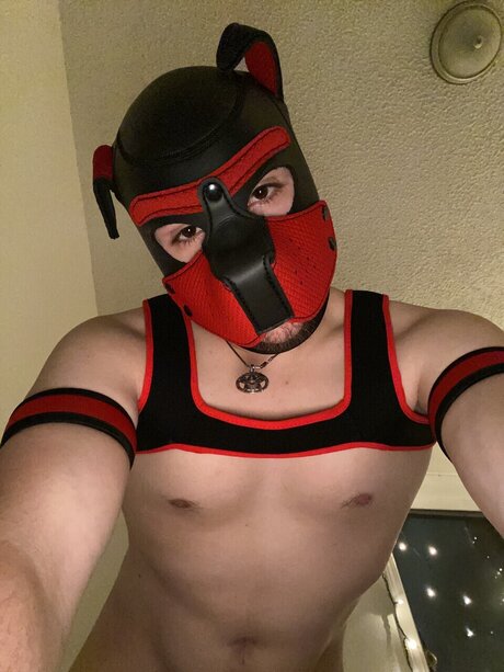 RyderJonesey star pretty gallery