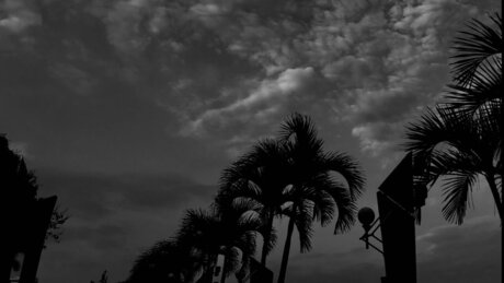 DOROTHEO star erotic pic