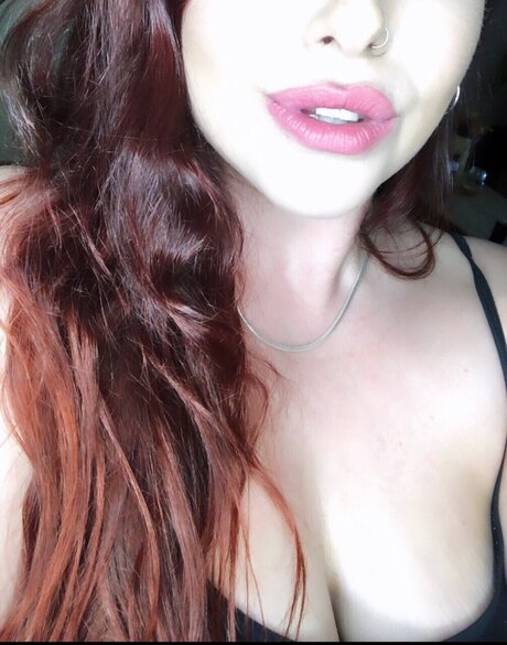 Velvettt xxx star galleries