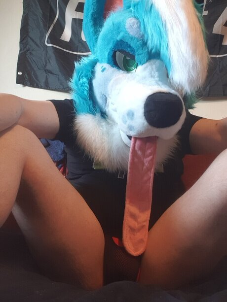 Kana Kaouri star adult archive