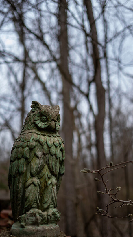 gore4gore hot model galleries