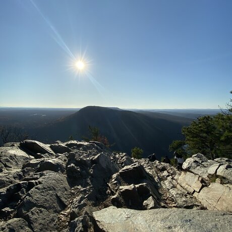 Mr Curve hot star archive