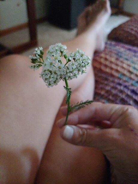 Madira Vega Antares star pretty pictures