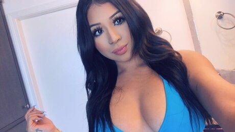 Hollabby star beautiful photo