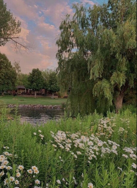 Cxs spxt perfect actress gallery