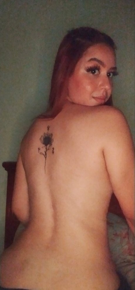 P loma perfect star gallery