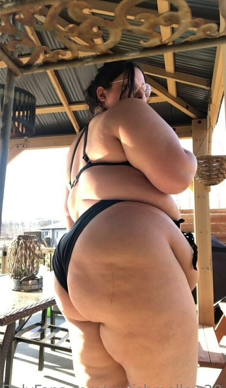 squishmellow20 pretty star galleries