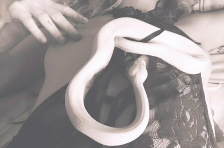 artnvenom pornstar hot pic