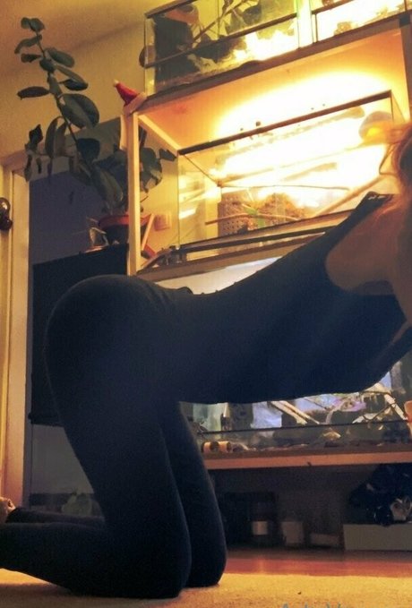 artnvenom exclusive star pictures