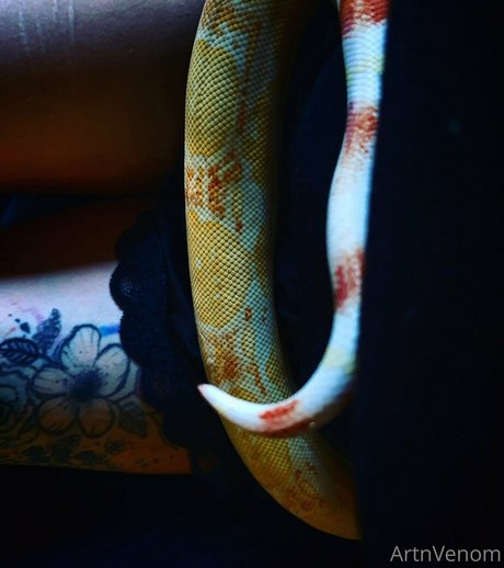 artnvenom beautiful model photo