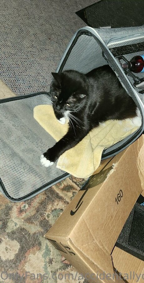 fitnessmodel onlyfans porno pic