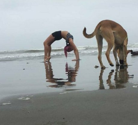 accidentallydelicious star art photo