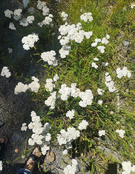 asian feet onlyfans free naked images