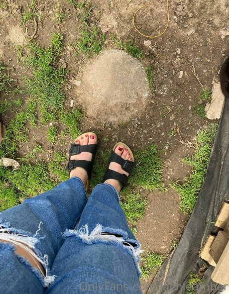 lachleamber top pornstar pics