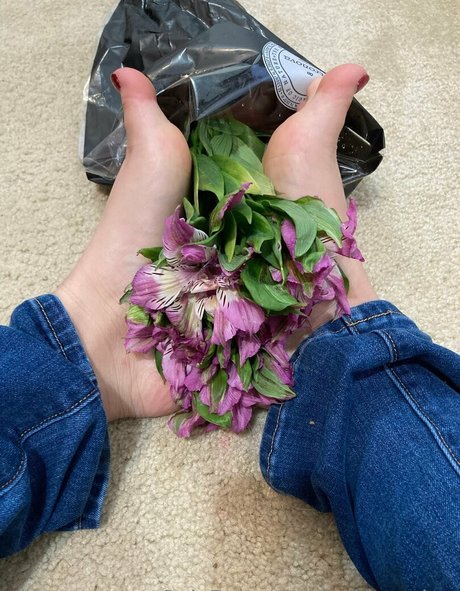 lachleamber free pornstar galleries