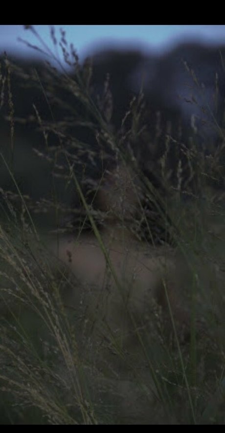 redhead skinny onlyfans free sexy photo