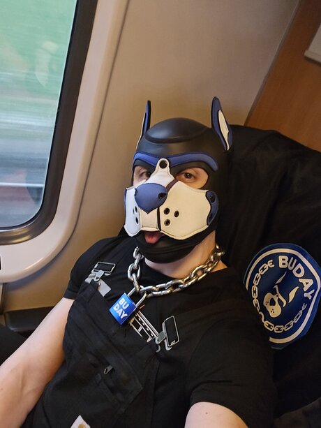 pupbuday adult model gallery