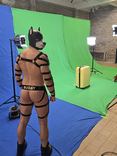 pupbuday star naked gallery