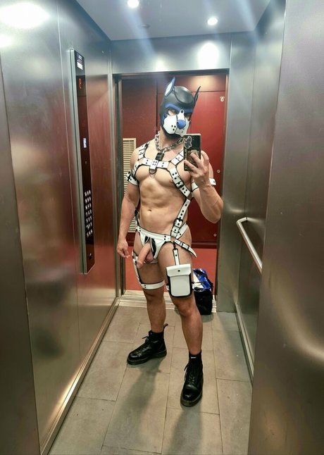 pupbuday star perfect gallery