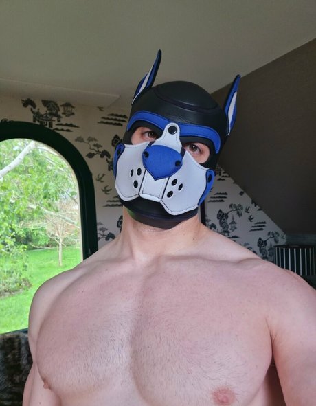 pupbuday star pretty pics