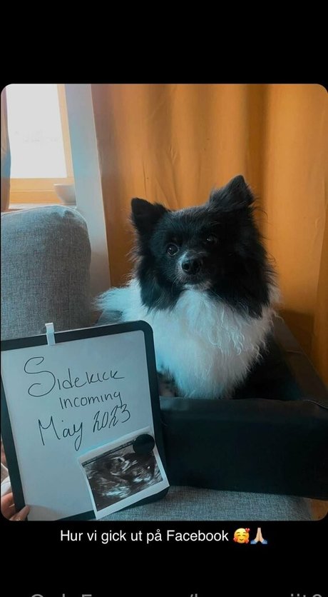 latina onlyfans hot porn pic