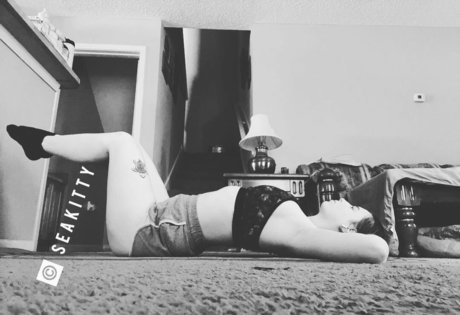 Seakitty Profile photo