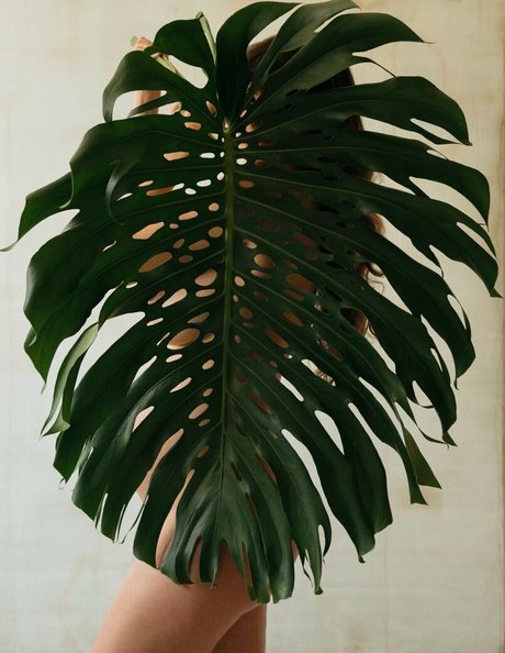 asian tattoo onlyfans sexy naked photos