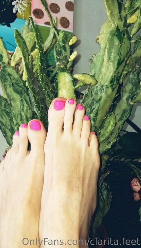 clarita feet high quality model photos