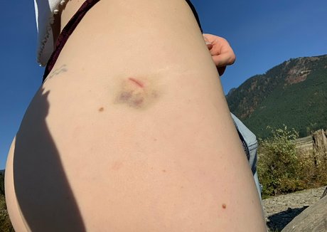 sunset fawn pornstar free galleries