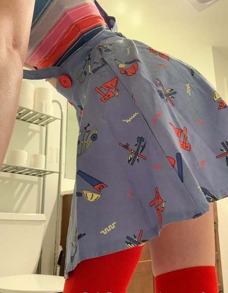 sunset fawn star nice images