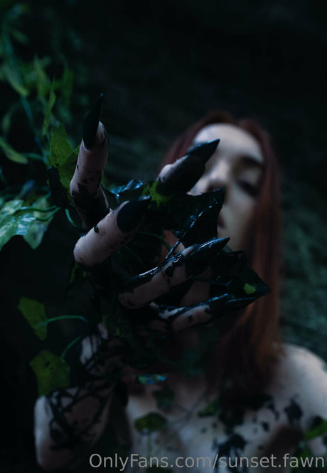 sunset fawn pornstar free picture