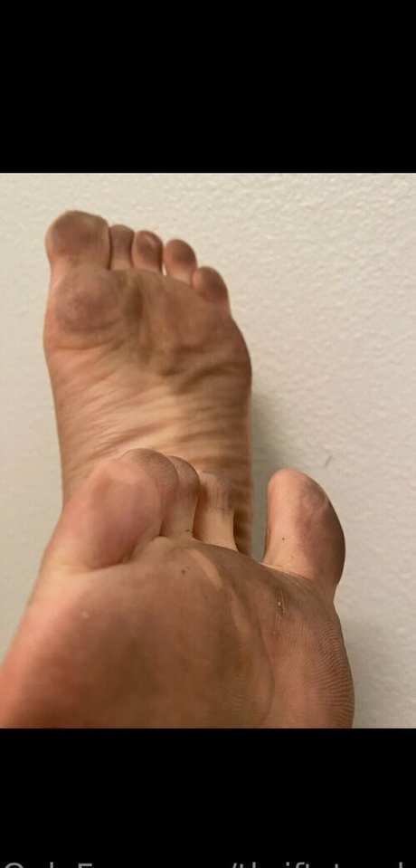 thriftstorebirks perfect model pictures