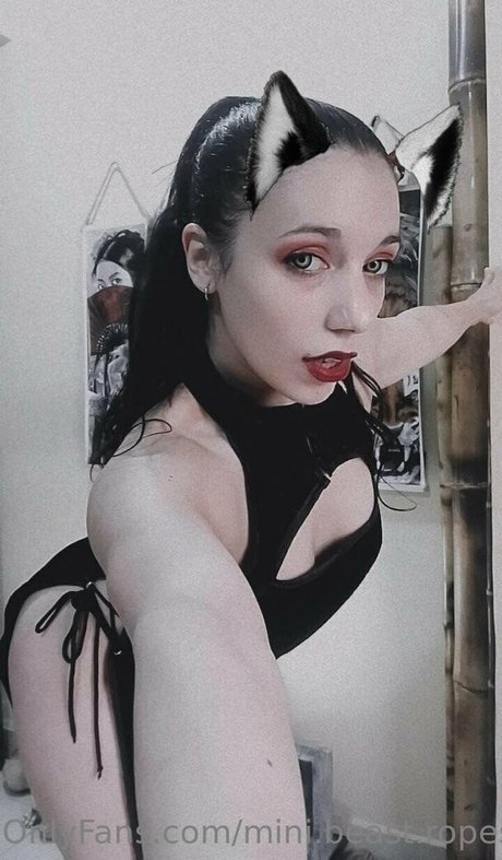 mini beast ropes model hd picture