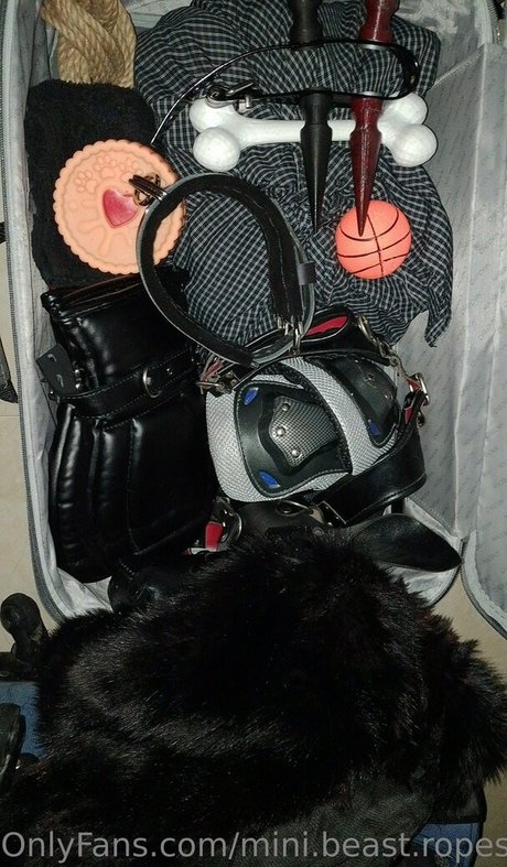 mini beast ropes beautiful star archive