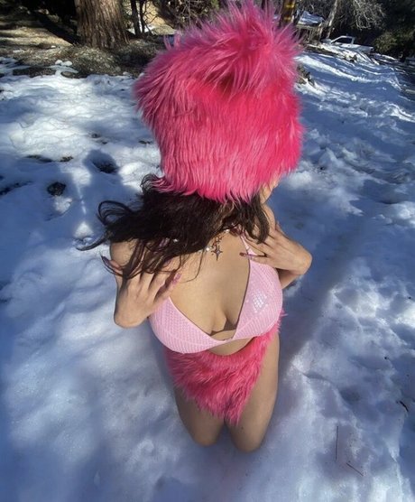 pureflesh erotic pornstar pics