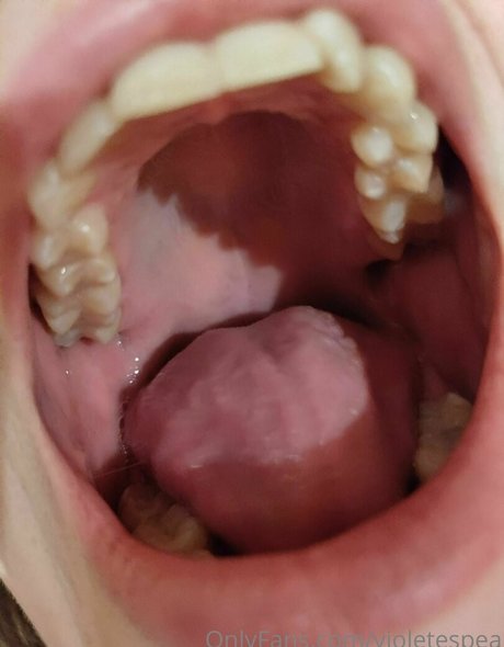 violetespea star nice archive