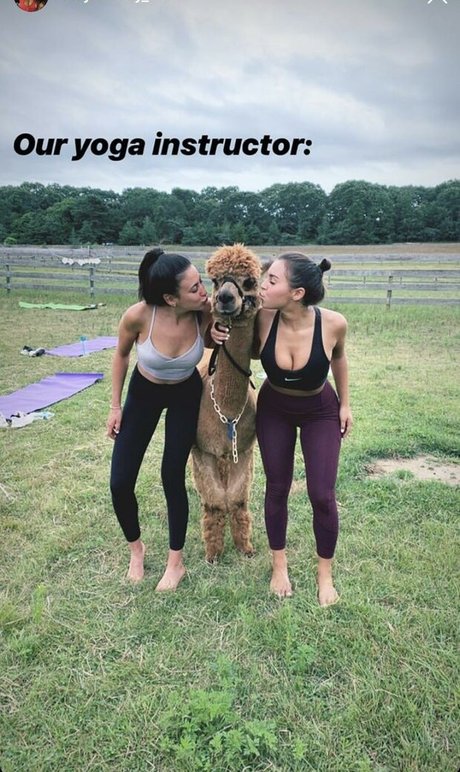 Faryn Corey star top pics