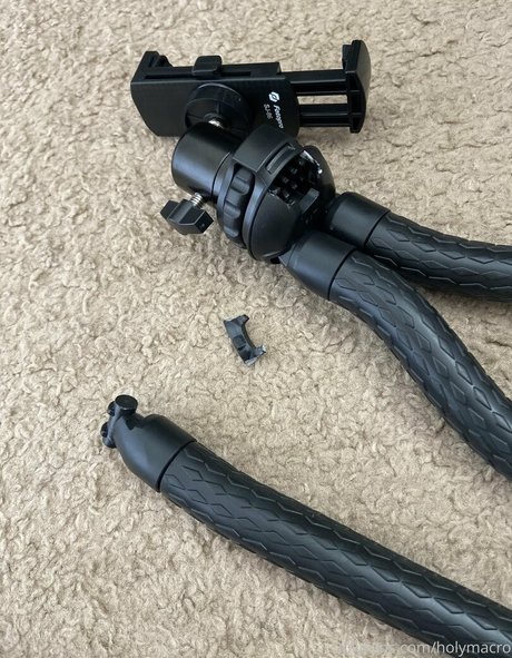 holymacre pretty star archive