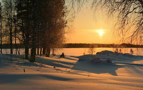 black onlyfans porno photo