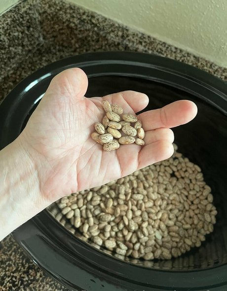 pictureimperfect nice star pic