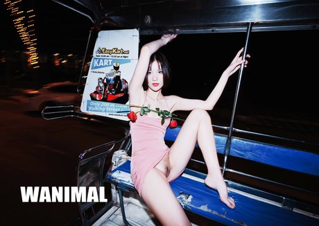 azhua pornstar sexy photo