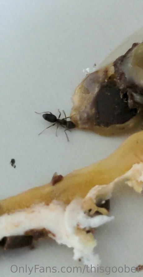 thisgoober model pretty pics