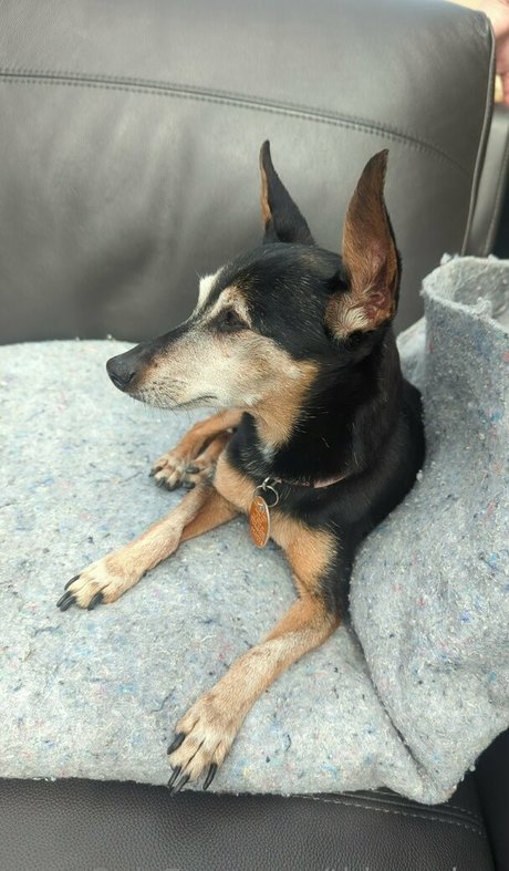 thisgoober high quality model images