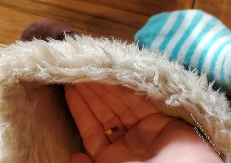 toepazfeetures erotic pornstar photo