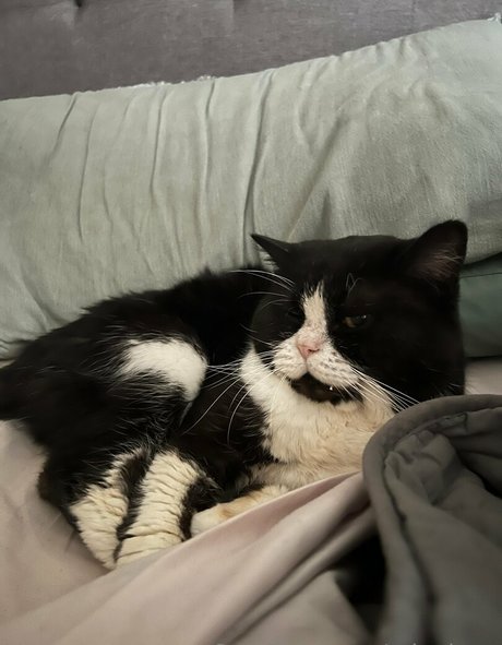 latina feet onlyfans nudes pictures